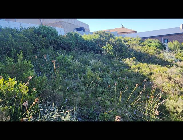 827M² VACANT LAND FOR SALE IN ISLAND VIEW